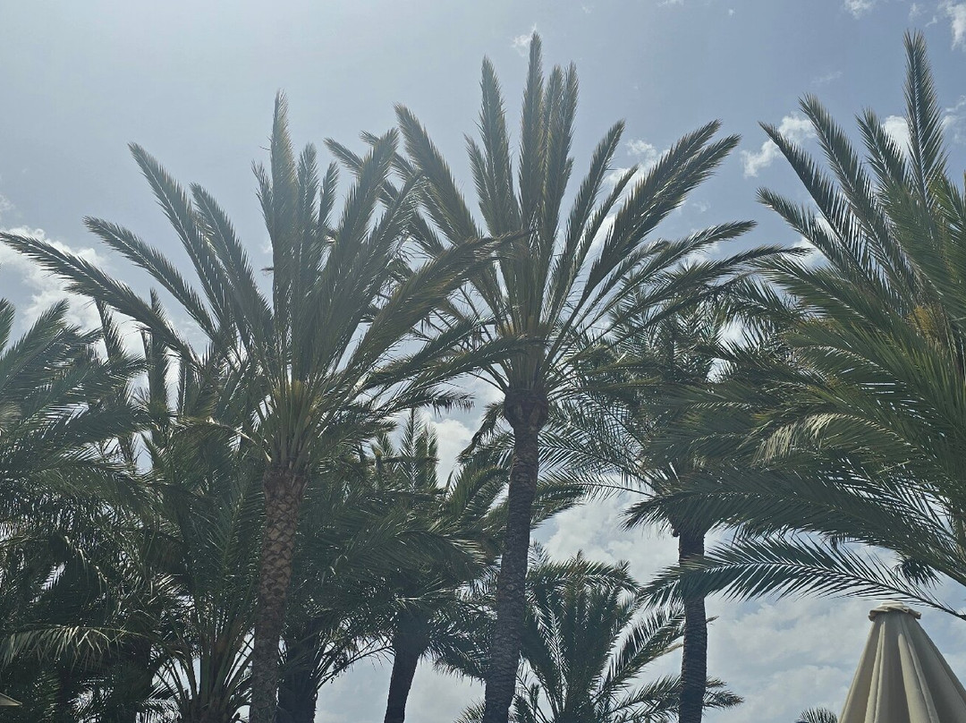 R2 浪漫幻想曲梦幻套房饭店 - 限成人- 全包式主图