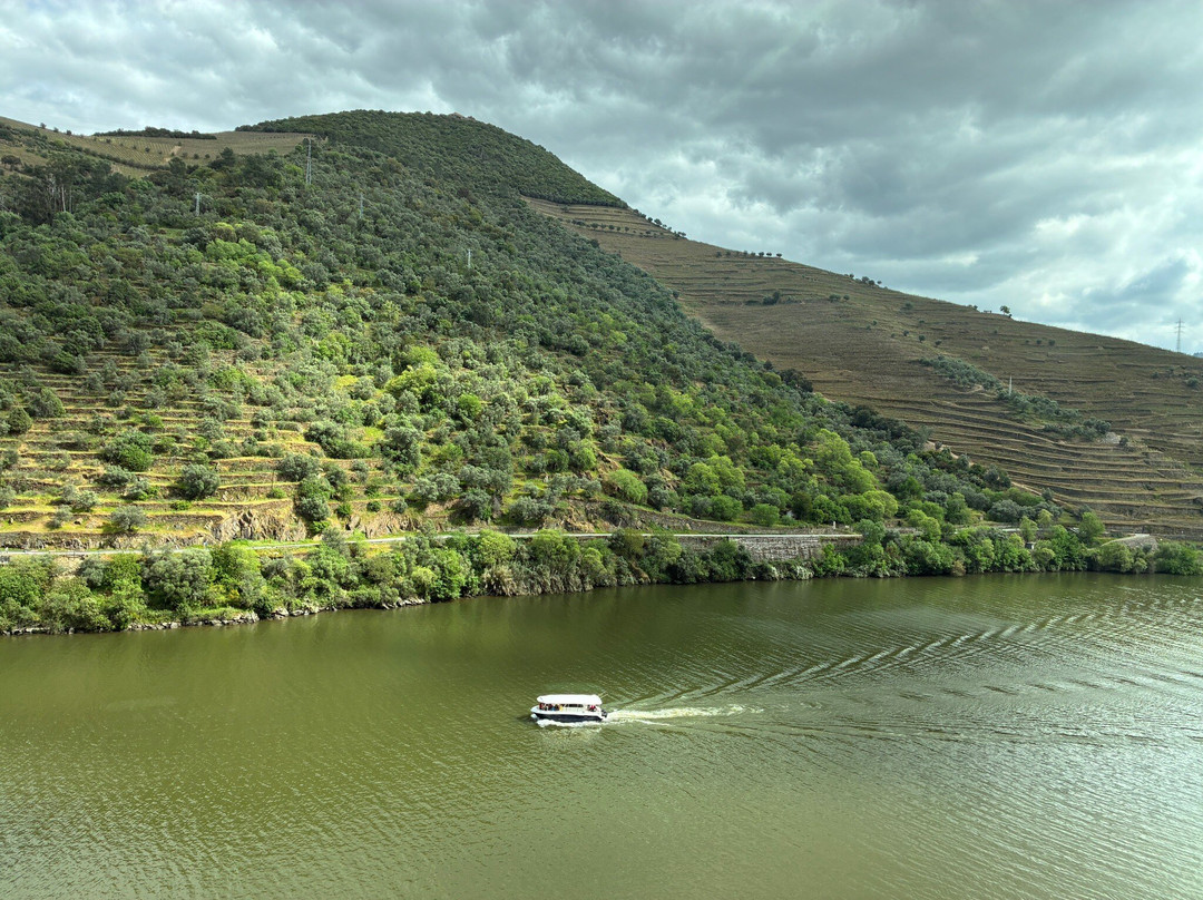 Douro Feeling-Lamego必去景点