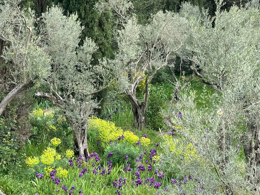 Jardins de l'abbaye Saint-André-阿维尼翁新城必去景点