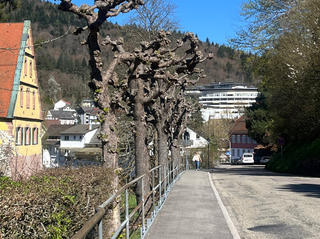 施米茨费尔登库尔酒店主图