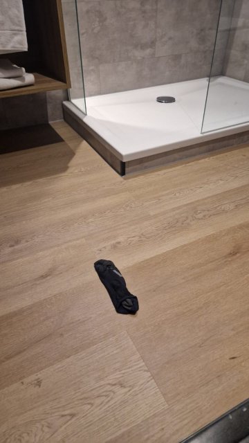斯海尔托亨博斯弗莱彻餐厅酒店-旅行者