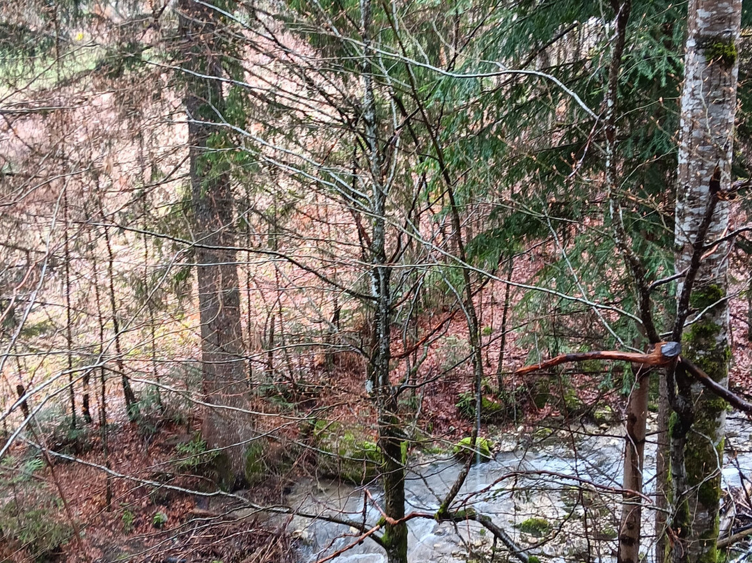 Cascade De La Fauge-维拉尔德朗必去景点