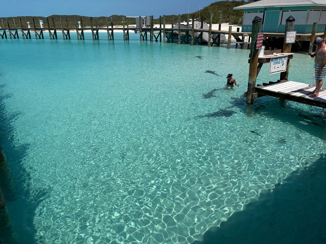 Coastline Adventures Exuma-大埃克苏马必去景点