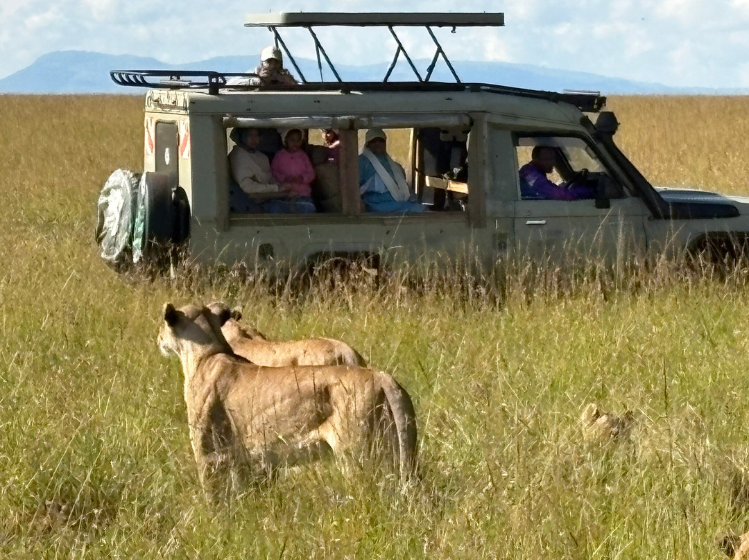 Chideri Safari & Taxi Service-迪亚尼必去景点