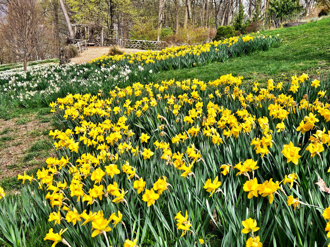 Untermyer Gardens-Yonkers必去景点