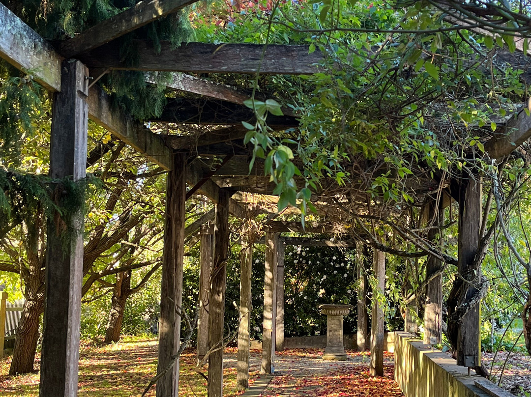 菲茨罗伊历史之地米塔贡住宿加早餐旅馆主图