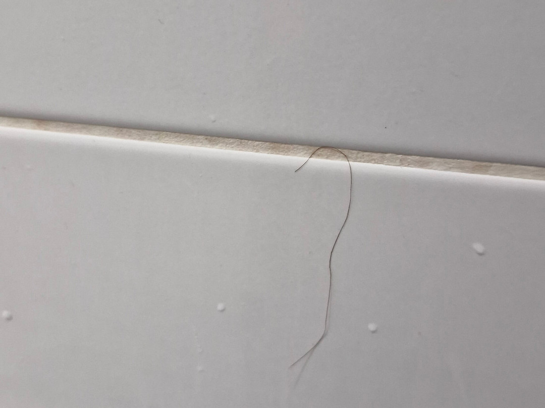 麦克唐纳波特利公园水疗酒店主图