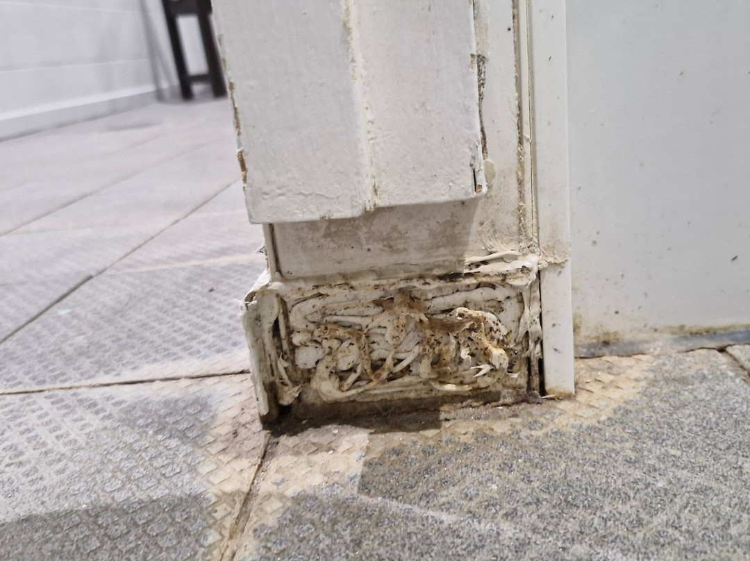 麦克唐纳波特利公园水疗酒店主图
