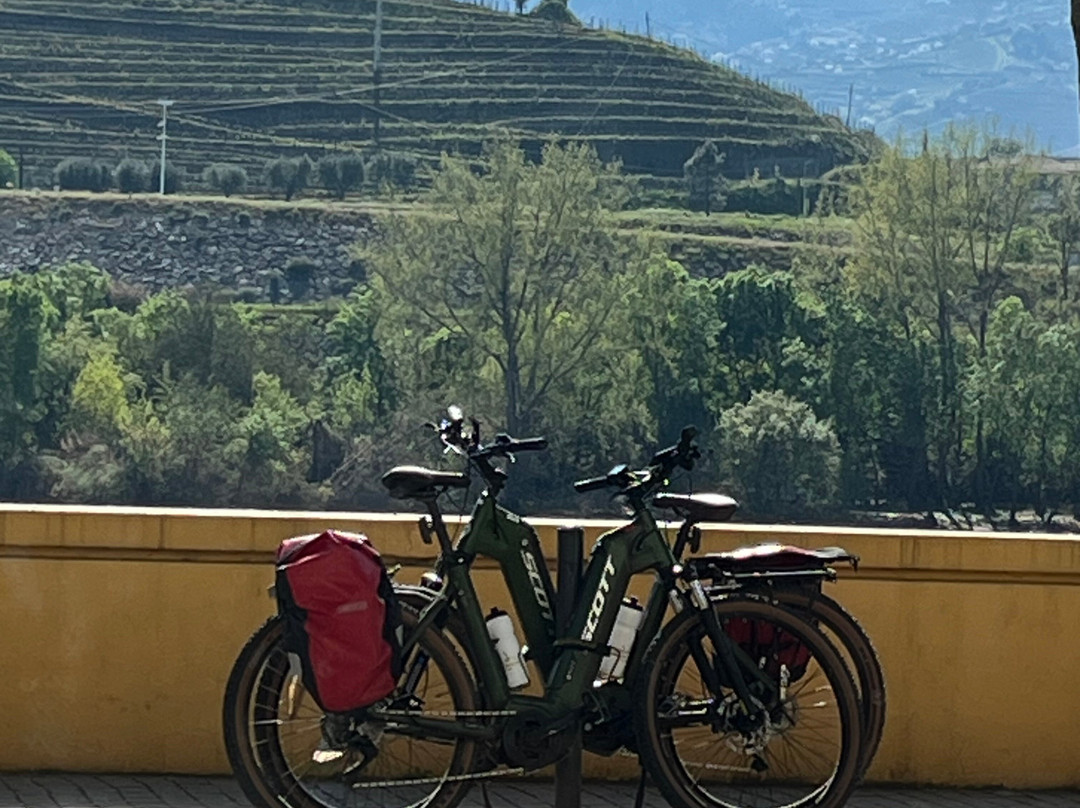 Top Bike Tours Portugal-波尔图必去景点