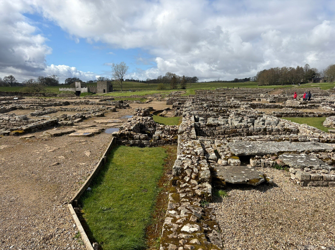 Vindolanda-赫克瑟姆必去景点