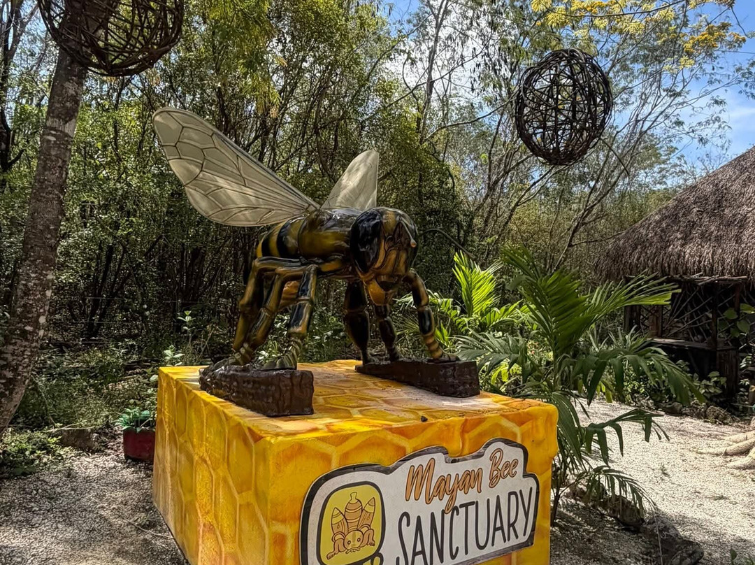 Mayan Bee Sanctuary-San Miguel de Cozumel必去景点