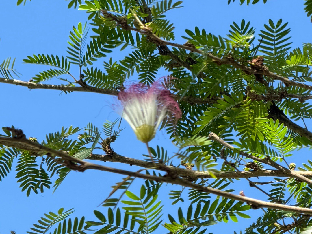 Na Aina Kai Botanical Gardens-基拉韦厄必去景点