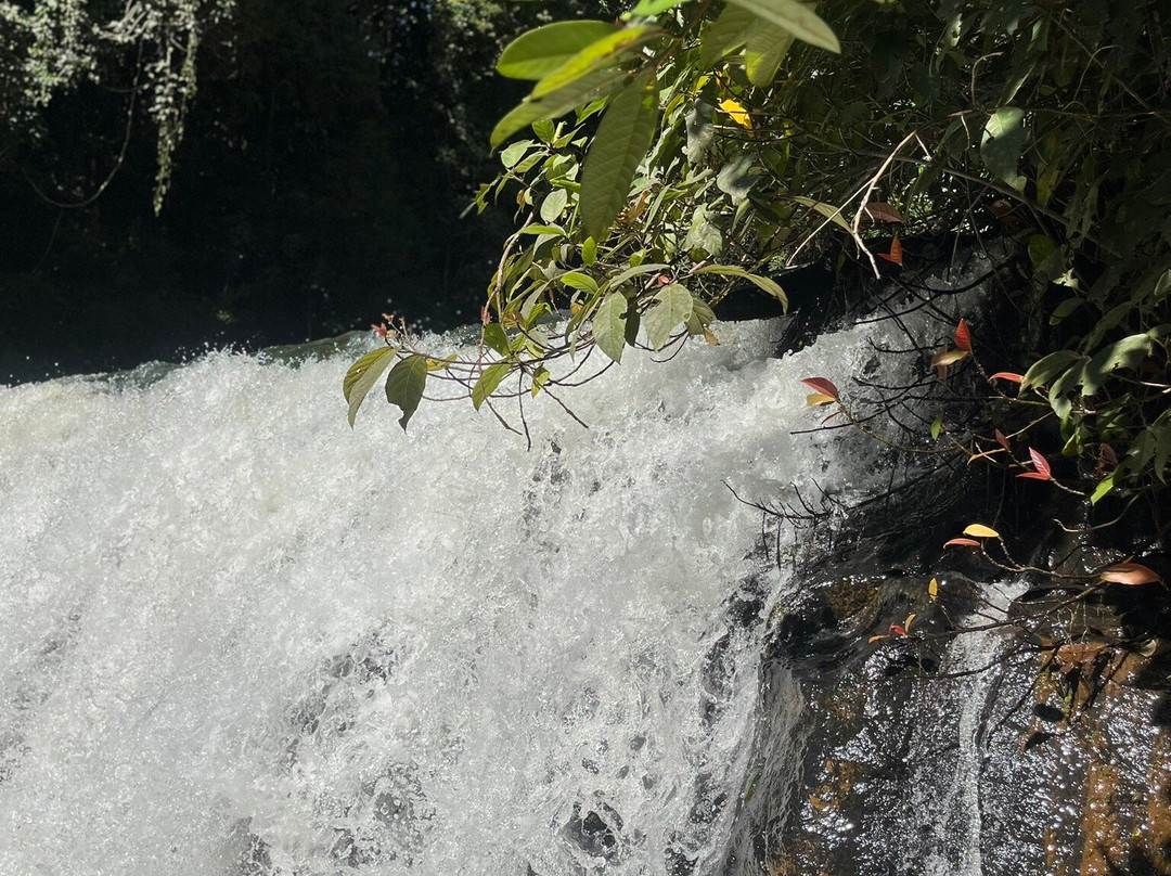 Malanda Falls-马兰达必去景点