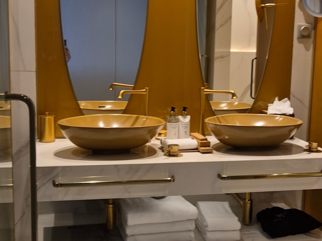 萨沃伊宫殿 - 世界杰出旅馆系统 - 萨沃伊特色酒店主图