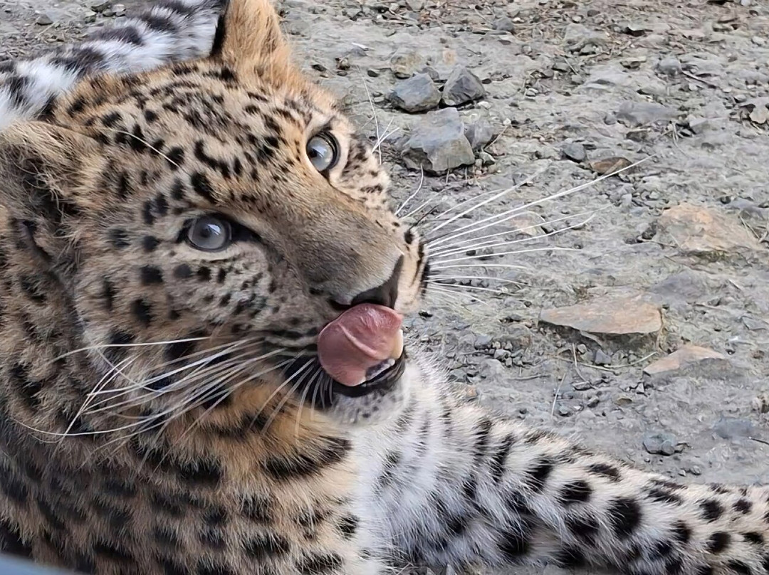 EcoZonia - Parc Animalier-Cases de Pene必去景点