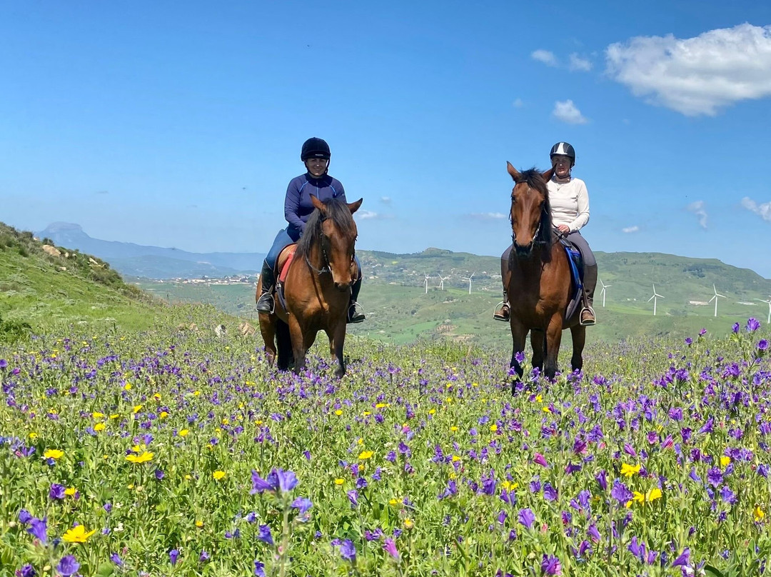 Horse Riding at Pippa's Paddock-Alia必去景点