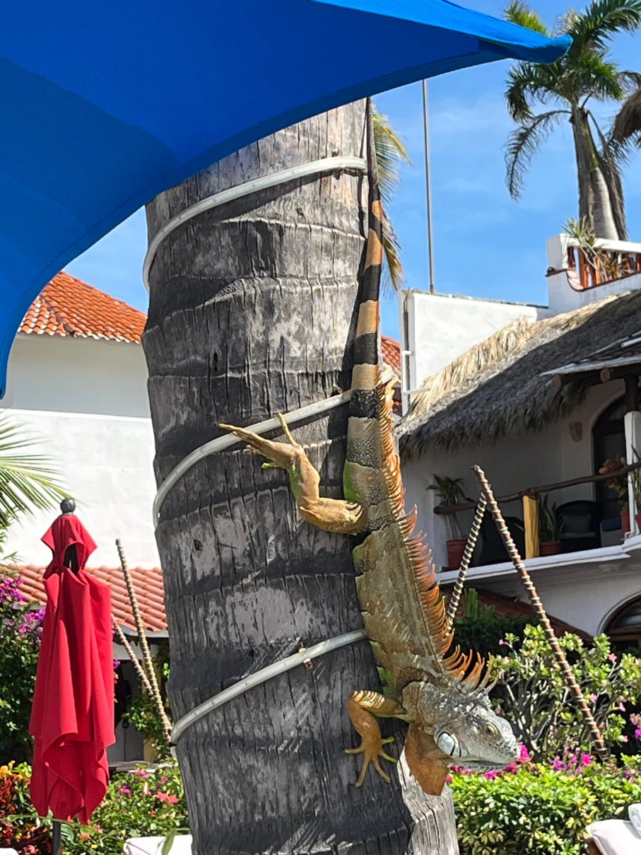 Casita Mia De Mita-旅行者