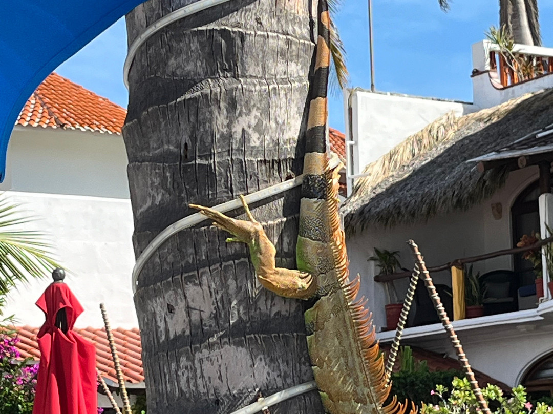 Casita Mia De Mita主图
