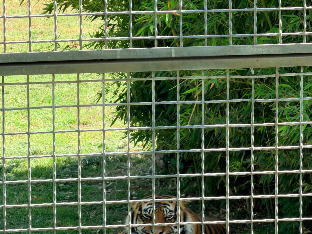 Lo Zoo di Napoli-那不勒斯必去景点