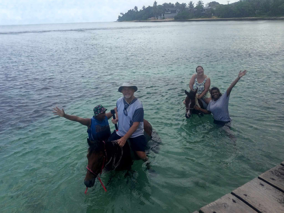 Maui Bay Horse Riding Adventure-苏瓦必去景点