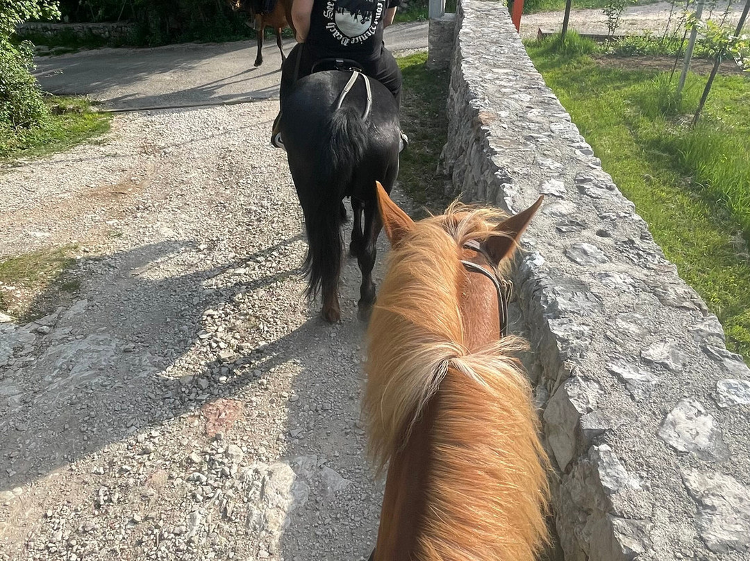 Uniti a cavallo trekking-Cadine必去景点