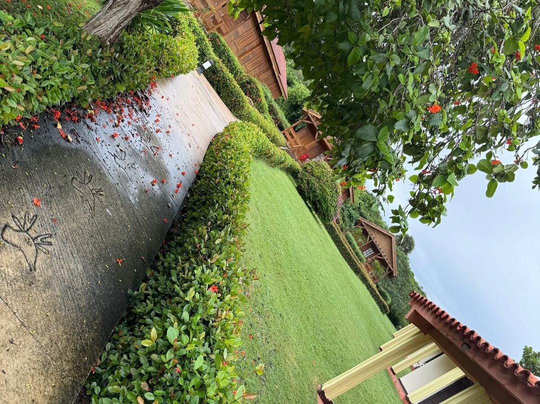 Villa Cayo Saetia主图