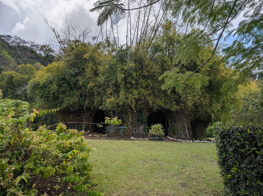 Dominica Botanic Gardens-罗索必去景点