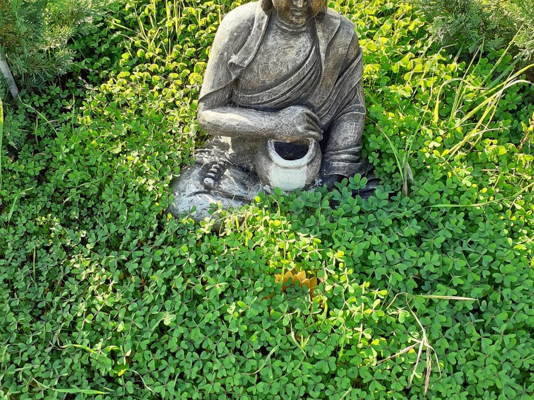 Centro de Yoga Mar 8 Garita-特尔德必去景点