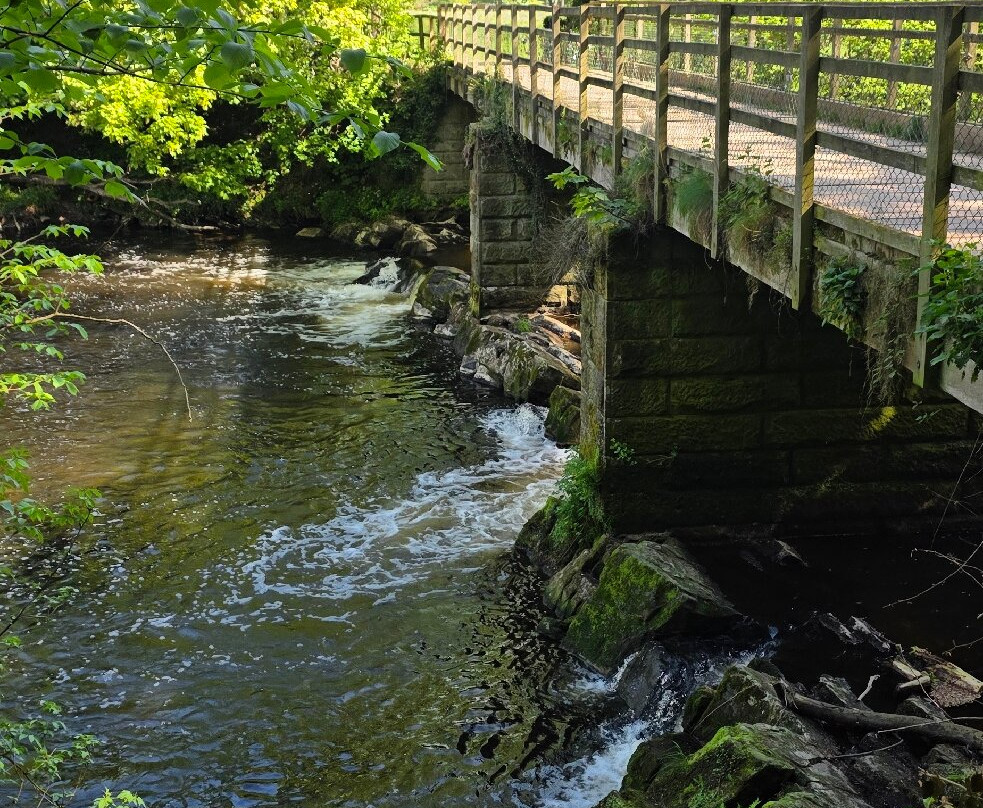 River Nidd Waterside Walk-Knaresborough必去景点