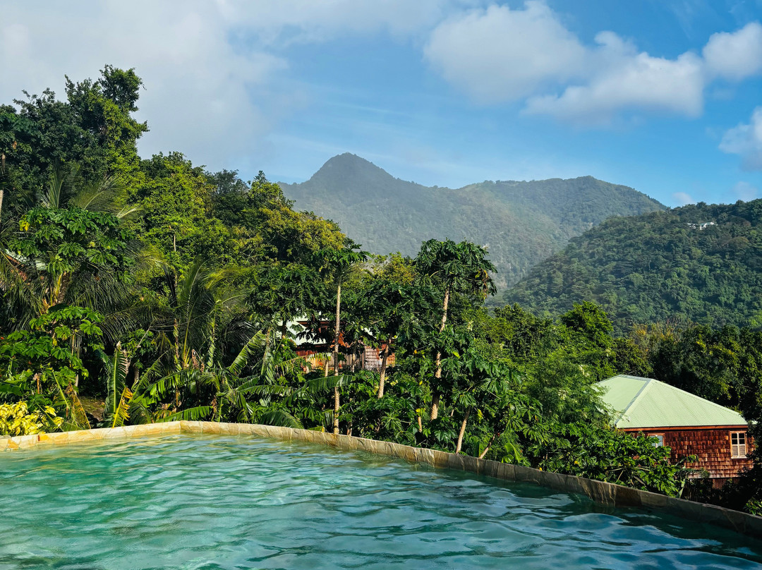 Jungle Bay Dominica主图