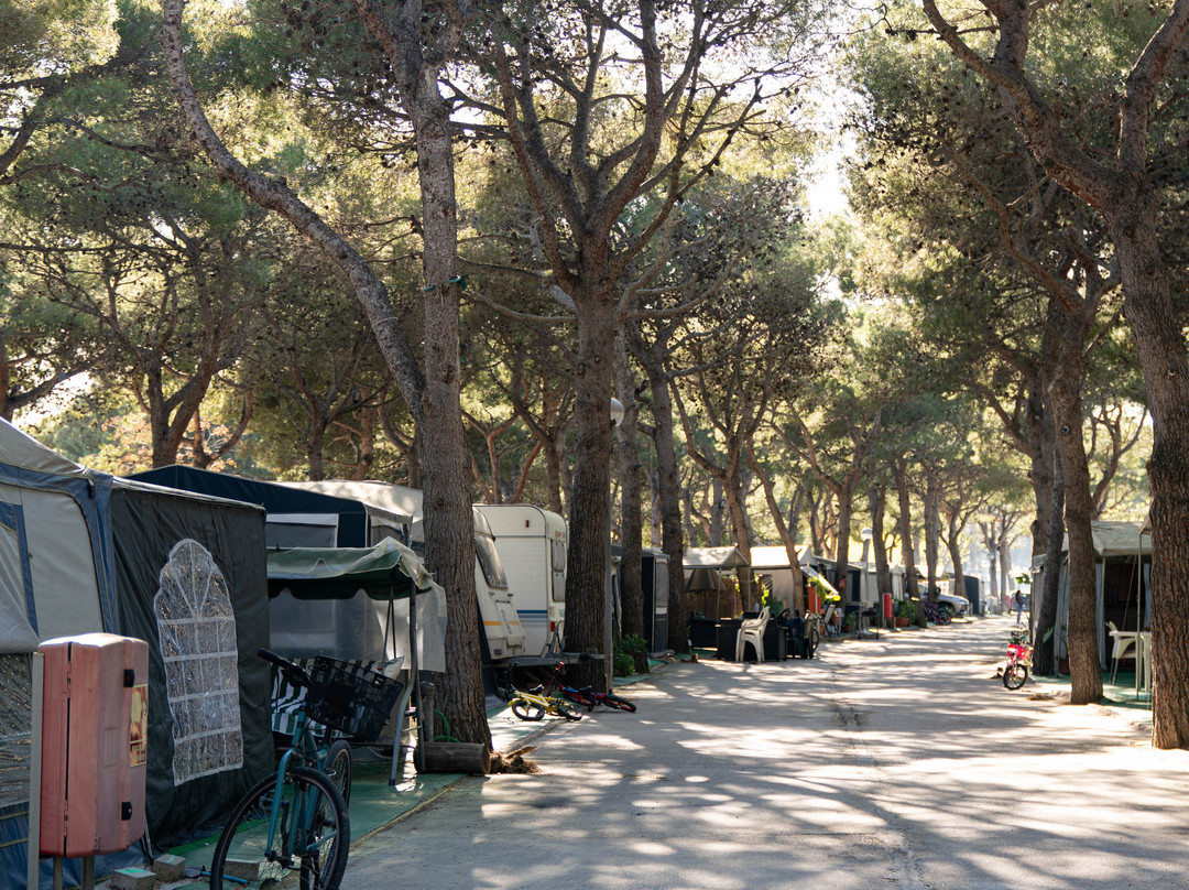 Camping Platja Vilanova