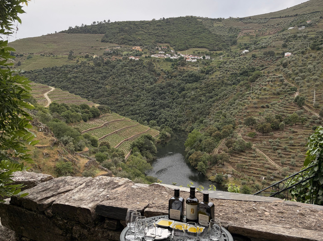 LAB Tours - Douro Valley Experiences-波尔图必去景点