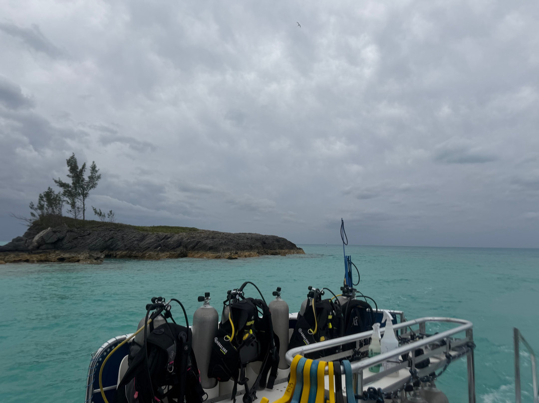 Dive Bermuda at Somerset-Sandys Parish必去景点