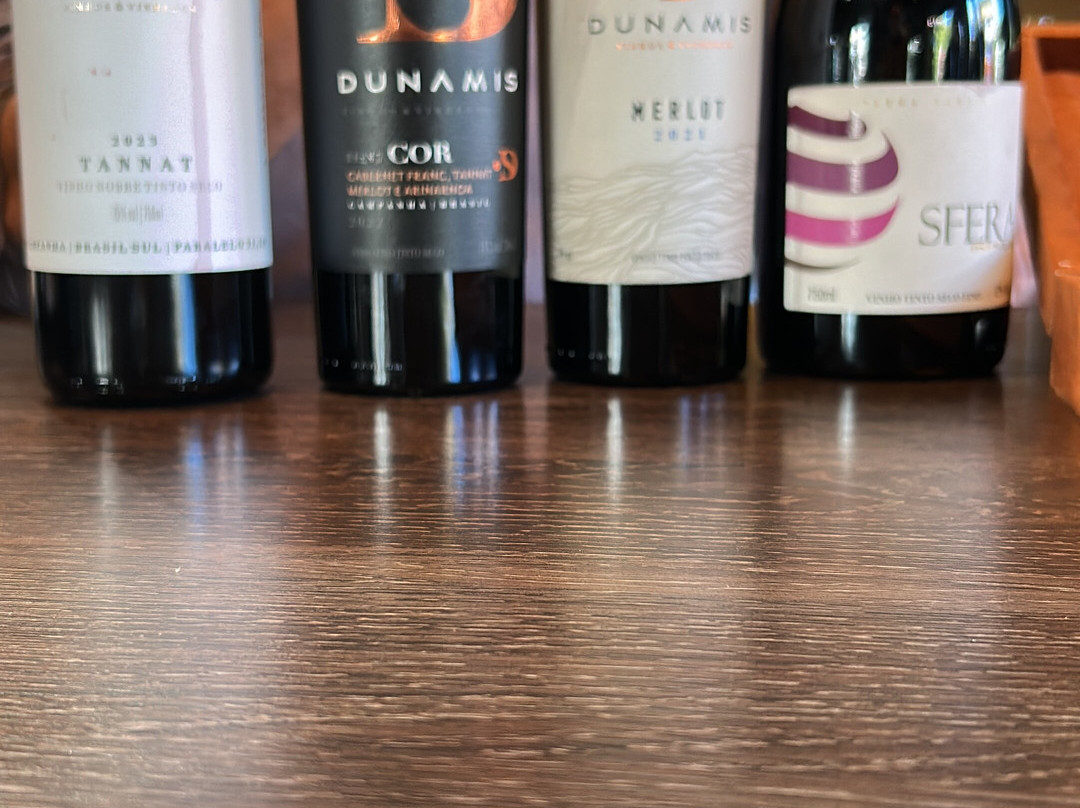 Loja - Dunamis Vinhos & Vinhedos-格拉玛多必去景点
