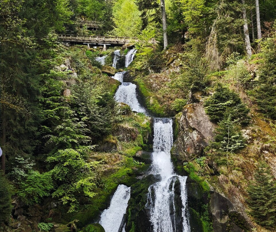 Triberger Waterfall-特里贝格必去景点
