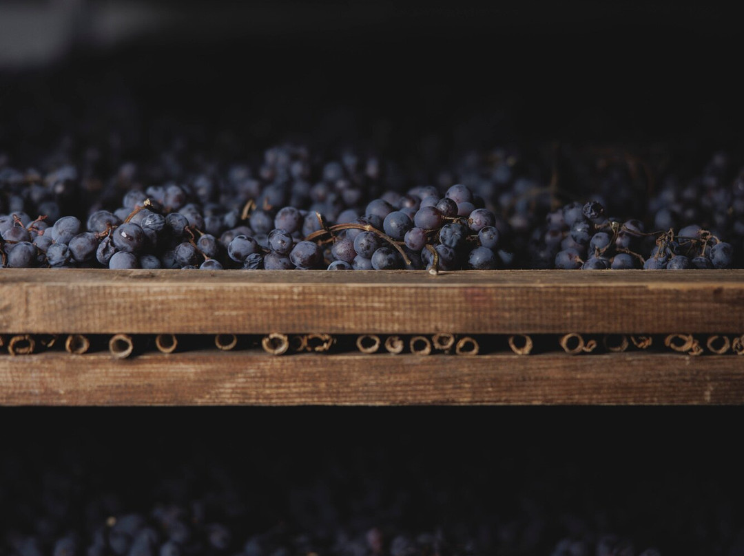 Monteleone21-Sant'Ambrogio di Valpolicella必去景点