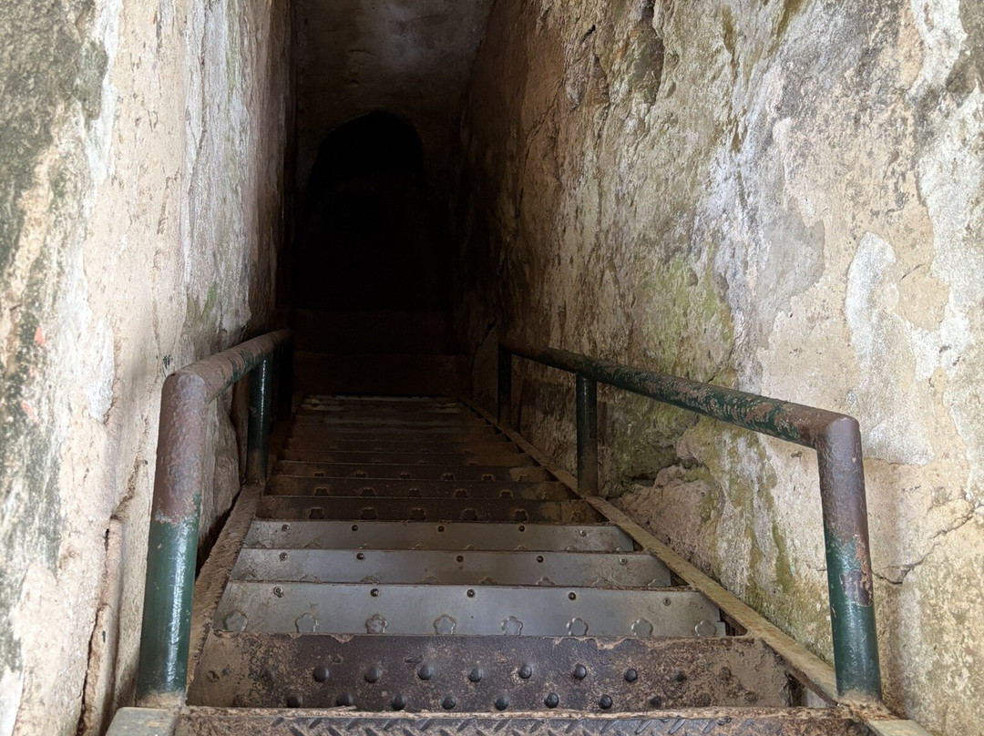 Ben Dinh Tunnels-胡志明市必去景点