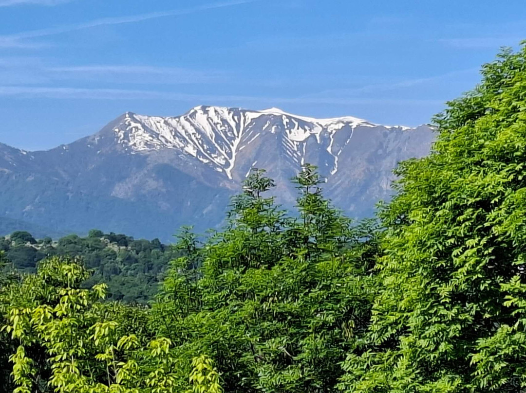 马德琳那住宿加早餐旅馆主图