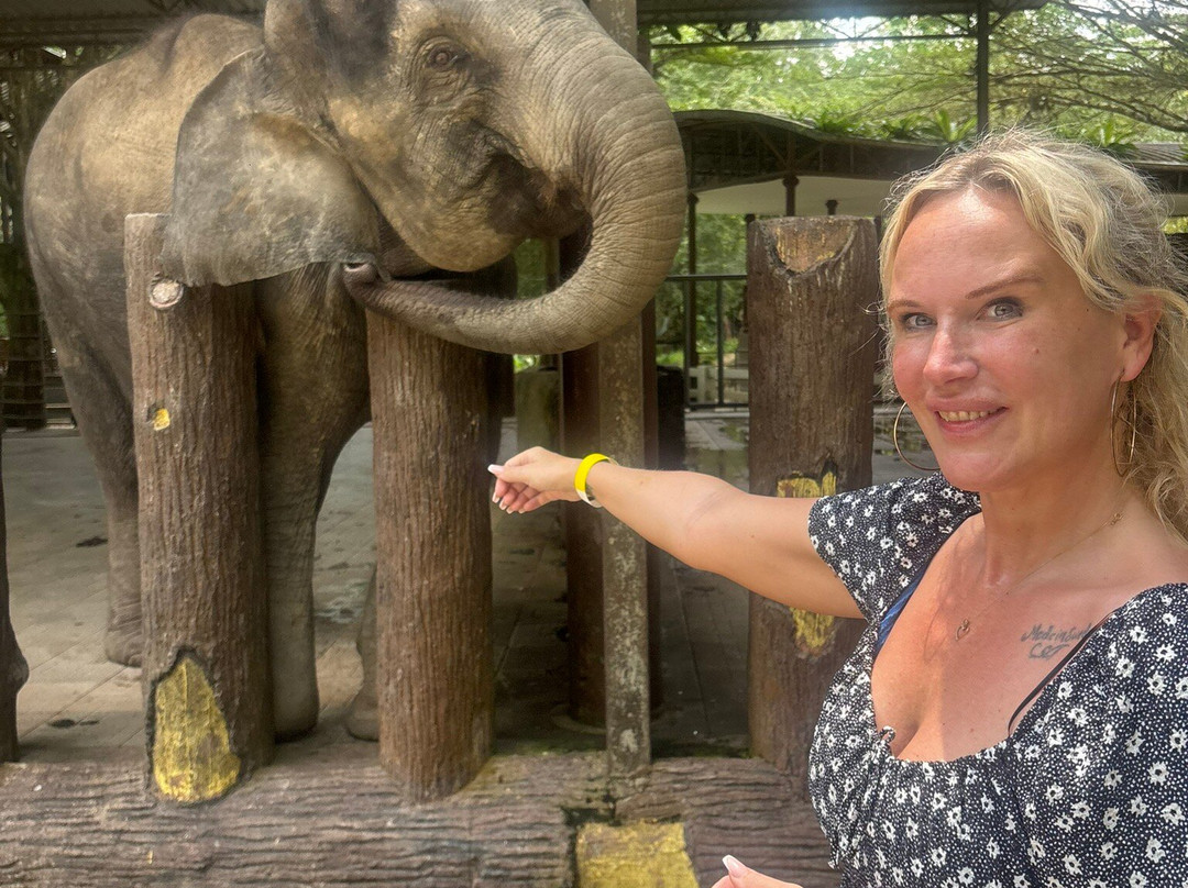 Kuala Gandah Elephant Sanctuary-彭亨必去景点