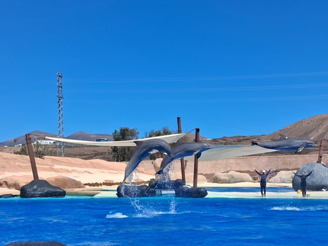 Rancho Texas Lanzarote Park-卡门港必去景点