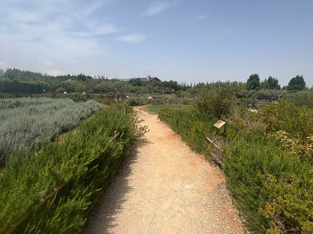 Cyherbia Botanical Park-Avgorou必去景点