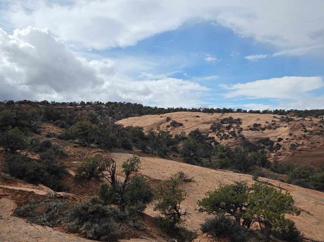 Navajo National Monument-Shonto必去景点