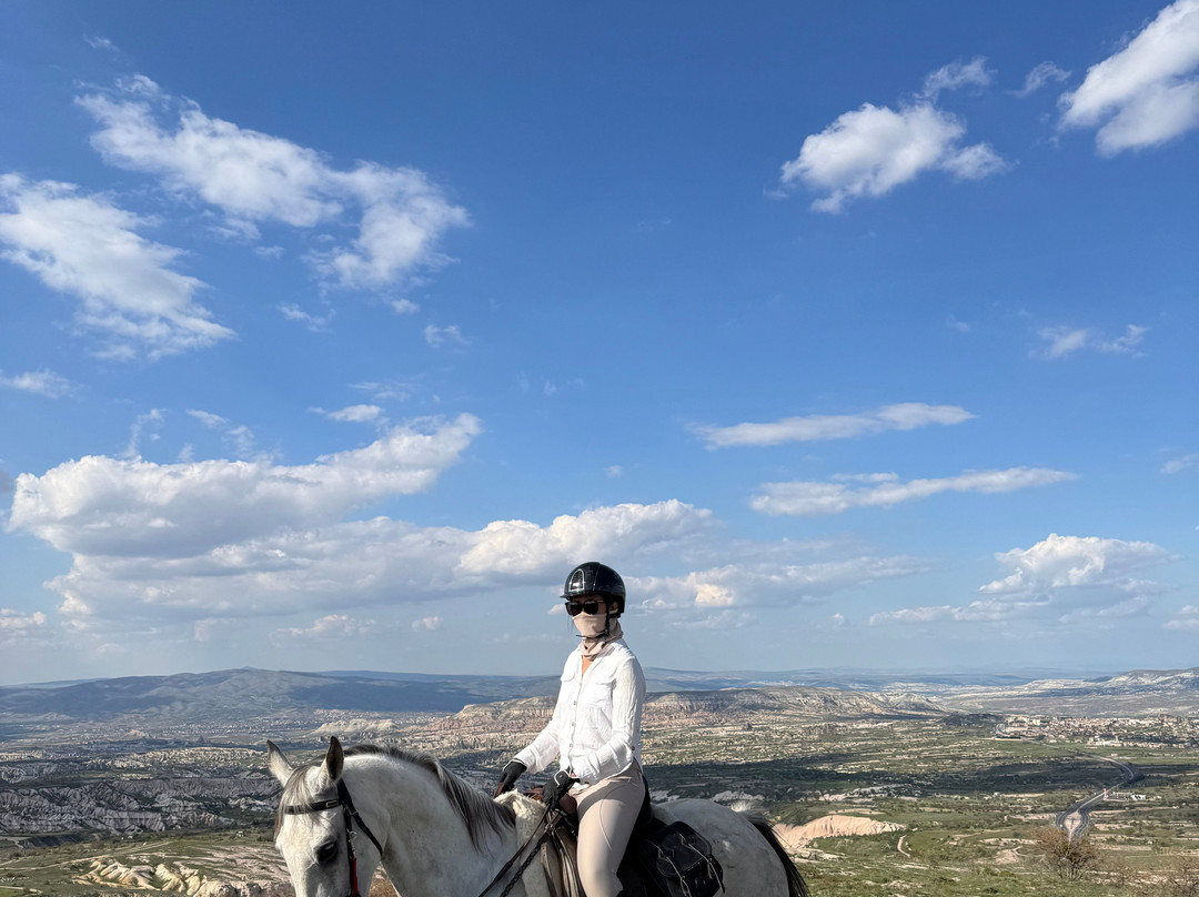 The Dalton Brothers Horse Riding Tours-格雷梅必去景点