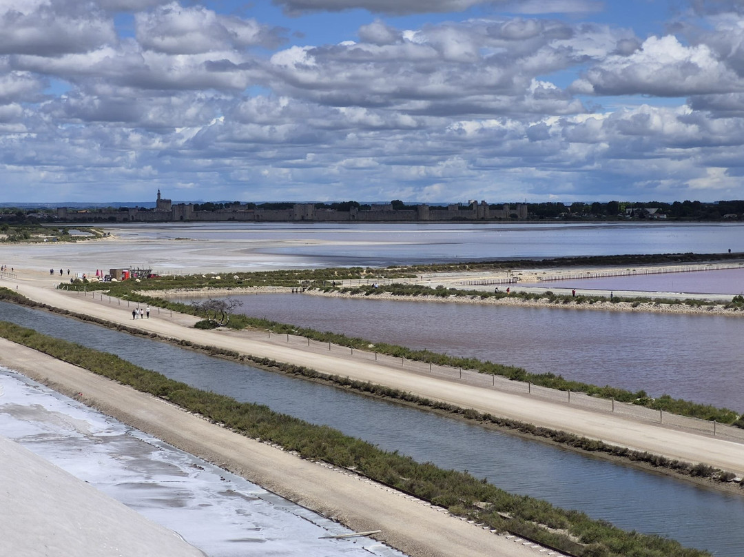 Salin d'Aigues-Mortes-艾格莫尔特必去景点