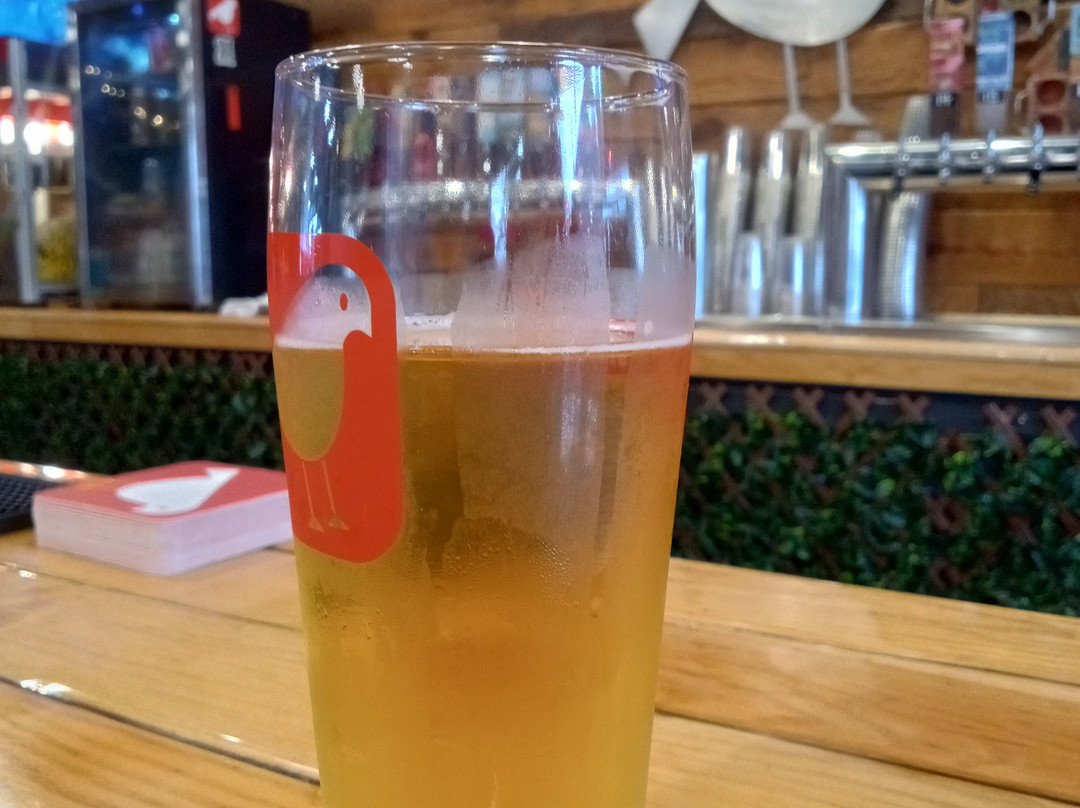 Feathered Friend Brewing-康科德必去景点