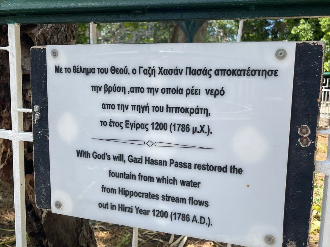 Hippocrates Tree-Kos Town必去景点