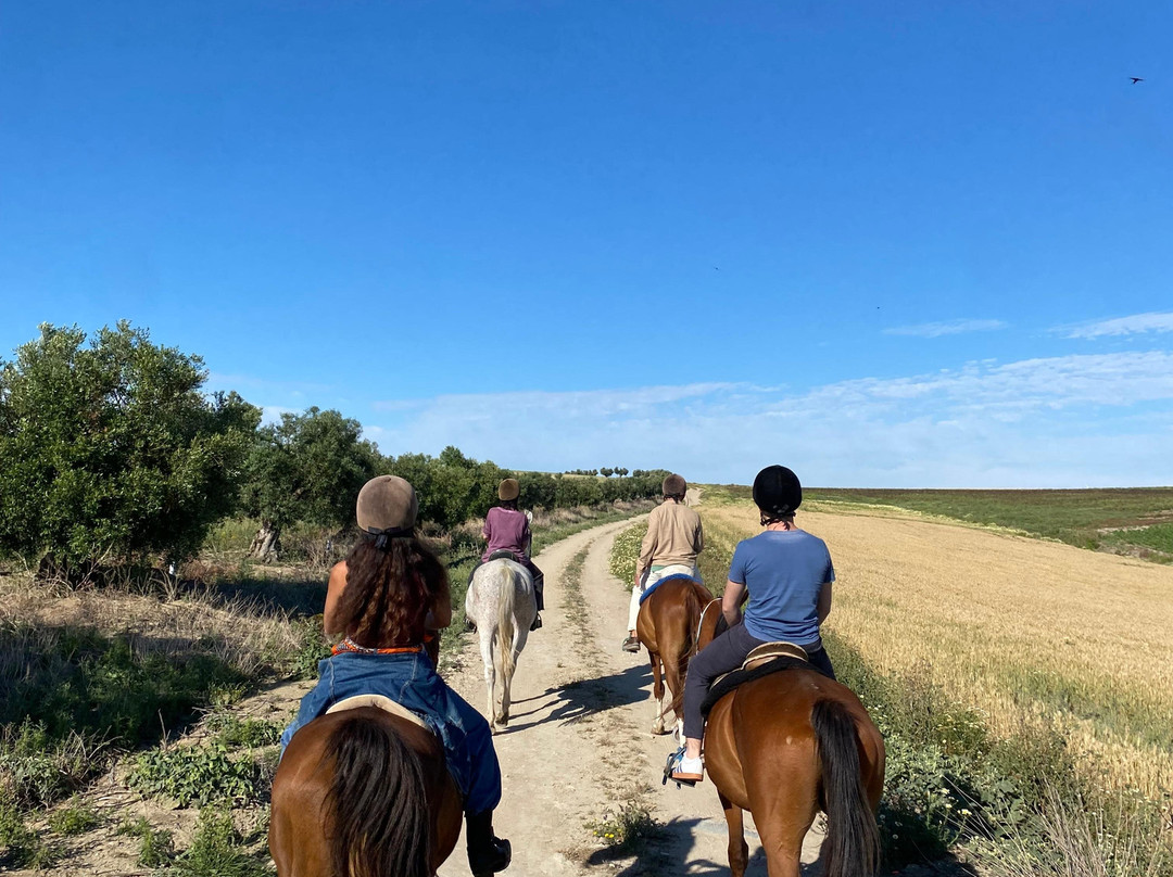 Al-Mesquid Stables-Sanlucar de Barrameda必去景点