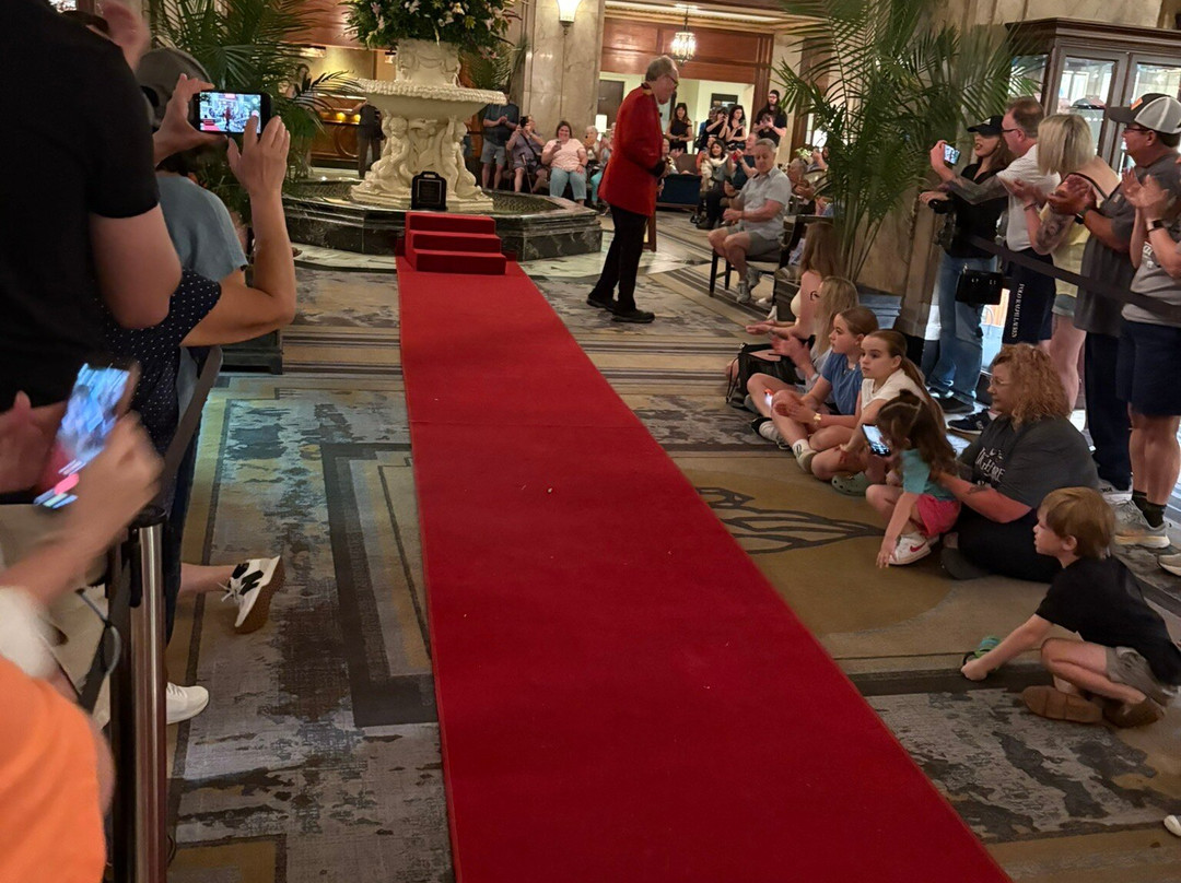 The Peabody Ducks-孟菲斯必去景点