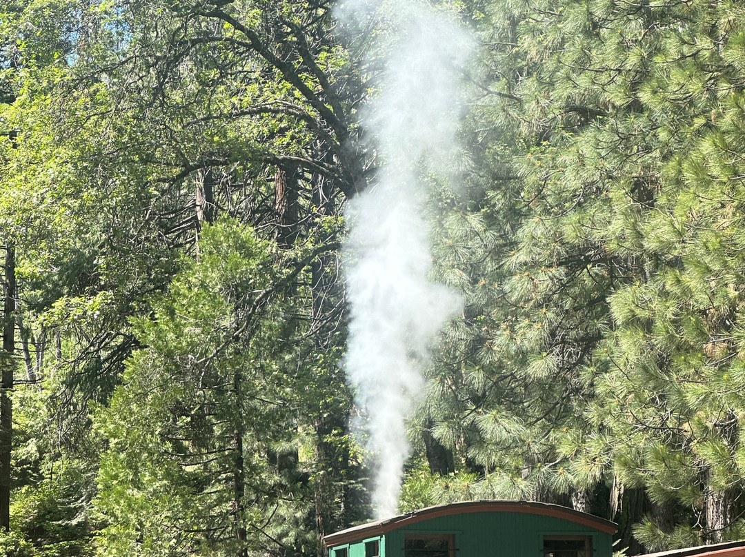 Yosemite Mountain Sugar Pine Railroad-菲什营必去景点