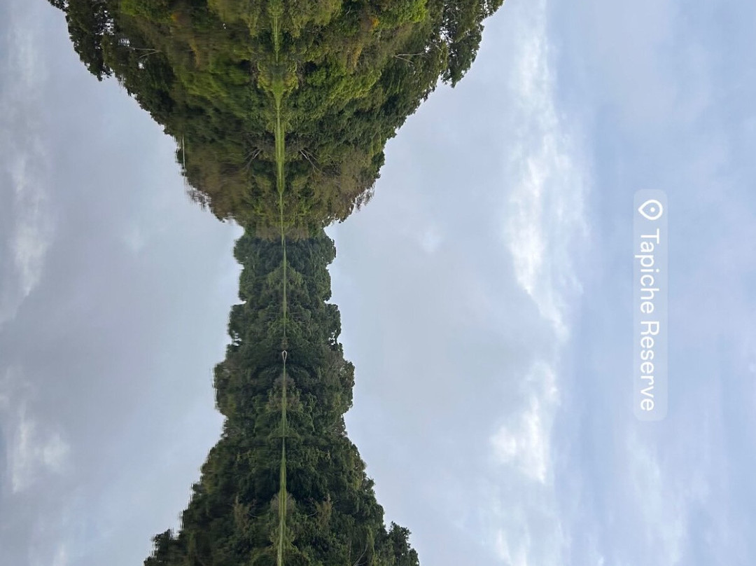 Tapiche Jungle Reserve-伊基托斯必去景点